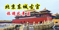 。男操女的网站视频中国北京-东城古宫旅游风景区