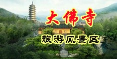 干女人嫩逼免费视频中国浙江-新昌大佛寺旅游风景区